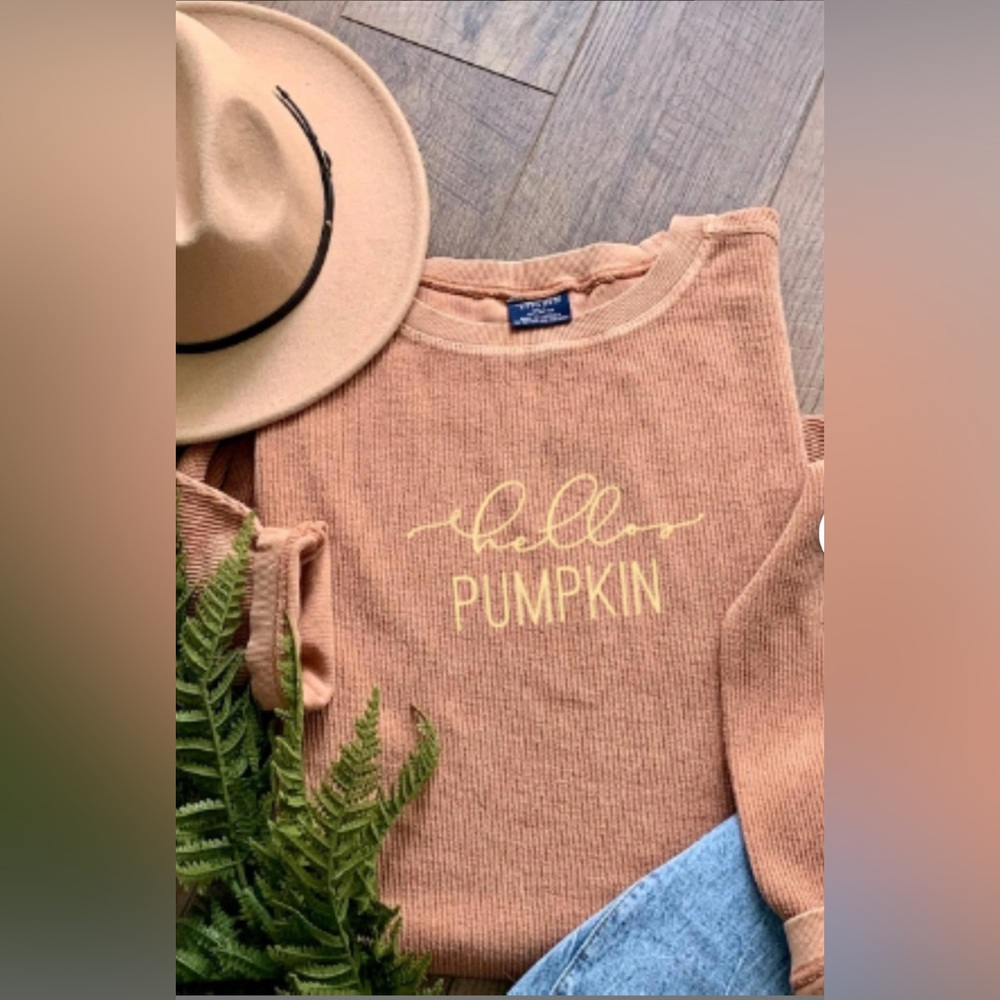 Charles River Apparel NWT “Desert” Crew Neck Sweatshirt SIZE L